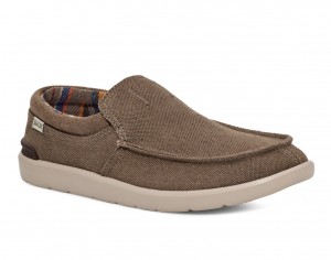 Chaussure Sanuk Hangout Lite Homme Marron | 854637-BST